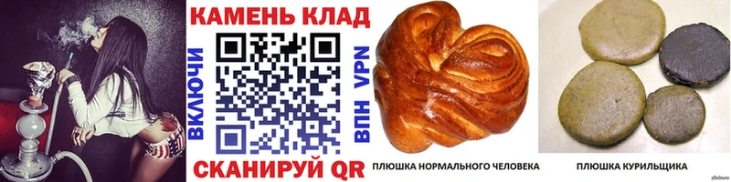 Гашиш Изолятор  blacksprut рабочий сайт  Дегтярск  где найти наркотики 
