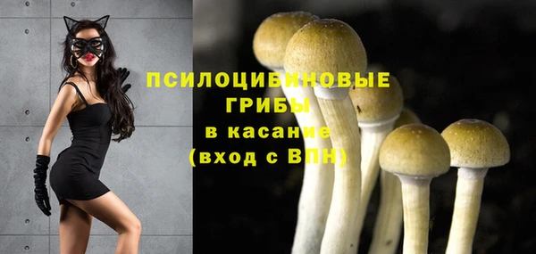 скорость Алексин