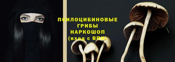 скорость Алексин