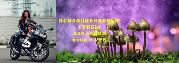 соль курить ск Алзамай