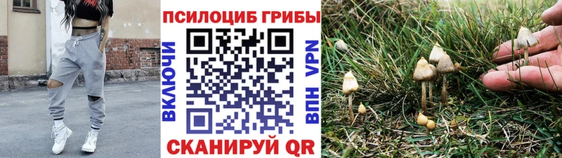 Псилоцибиновые грибы ЛСД  Дегтярск 